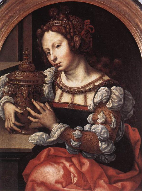 GOSSAERT, Jan (Mabuse) Lady Portrayed as Mary Magdalene sdf